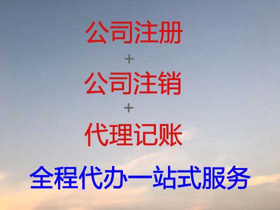 铜陵公司个体户注册-公司减资变更